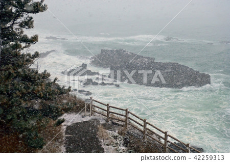 福井縣酒井市Tozbosho Araiso Promenade雪風暴 福井縣酒井市Tozbosho Araiso Promenade雪風暴 42259313