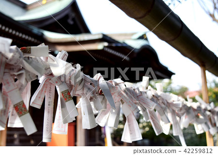 Omikuji綁在神社的處所 Omikuji綁在神社的處所 42259812