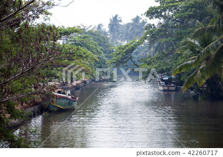 Hamilton Canal Sri Lanka 42260717