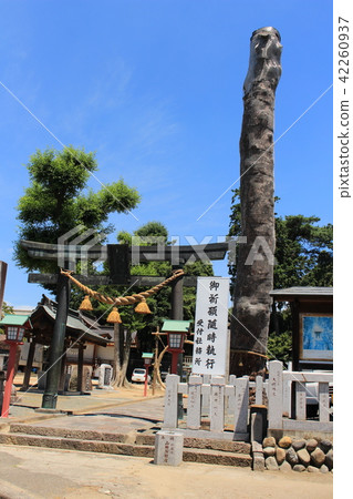 足利/下野國立八幡宮 足利/下野國立八幡宮 42260937