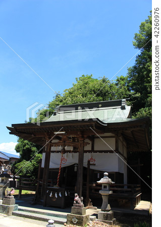Ashikaga / Shimono Kunitachi Hachimangu Shrine (Kadota Inji Shrine) Ashikaga / Shimono Kunitachi Hachimangu Shrine (Kadota Inji Shrine) 42260976