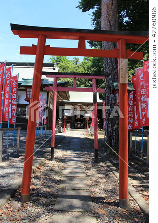 足利/下野國立八幡宮(Kadota Inji Shrine) 足利/下野國立八幡宮(Kadota Inji Shrine) 42260986