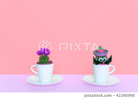 Small cactus in a flowerpot on a trendy background. Small cactus in a flowerpot on a trendy background. 42260998