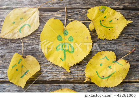 Yellow autumn leaves with smiley patterns Yellow autumn leaves with smiley patterns 42261006