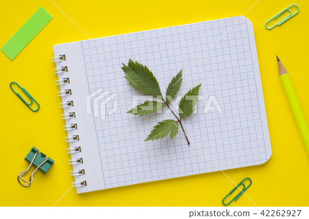 Business concept. Notebook and stationery Business concept. Notebook and stationery 42262927