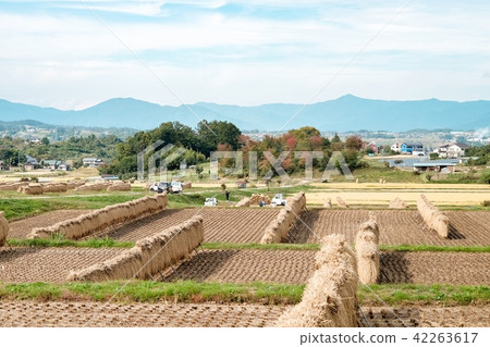 Rural landscape in autumn 42263617