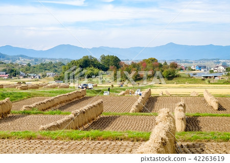 Rural landscape in autumn Rural landscape in autumn 42263619