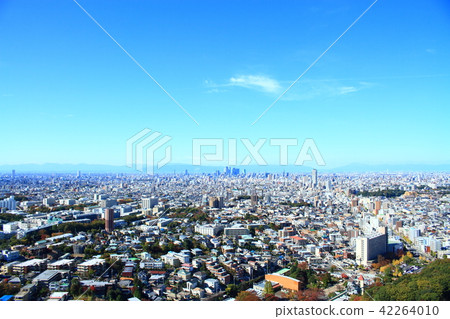 在秋天在名古屋市東山公園周圍的風景 42264010