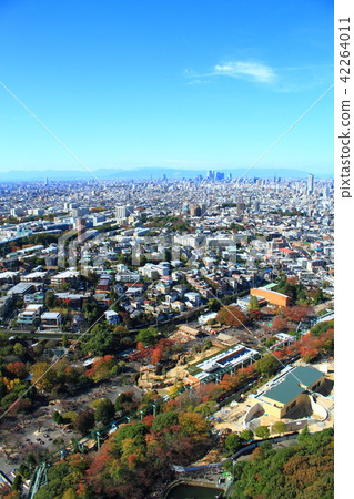 在秋天在名古屋市東山公園周圍的風景 在秋天在名古屋市東山公園周圍的風景 42264011