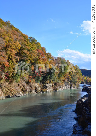 Nagatoro of autumn leaves Nagatoro of autumn leaves 42265033