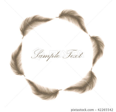 watercolor painting of feather circle frame.  42265542