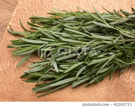 迷迭香 迷迭香 42265713