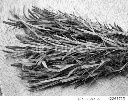 迷迭香 迷迭香 42265715