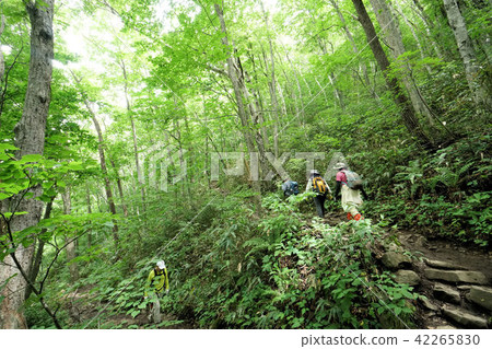 Sapporo Algaeyama mountain climbing road scenery (roughly nineteenth turn of the nineteenth turn) Sapporo Algaeyama mountain climbing road scenery (roughly nineteenth turn of the nineteenth turn) 42265830