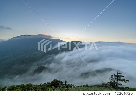 Unkai no Kaikai 02 42266720