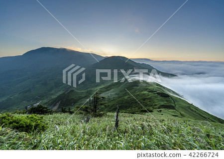 Unkai no Kaikai 05 42266724