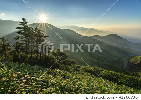 Morning mist of hairless pass 42266730