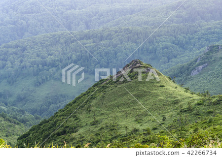 Scenery of Mairasan Pass 42266734