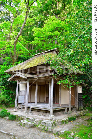 高絲（新潟） 42267230