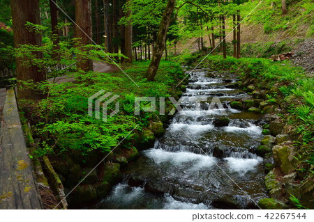 Yoshikoji (Niigata Prefecture) 42267544
