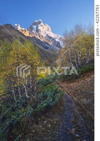 Autumn landscape in the mountains Autumn landscape in the mountains 42267763