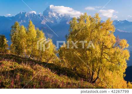 Mountain peak Ushba, Zemo Svaneti Mountain peak Ushba, Zemo Svaneti 42267799