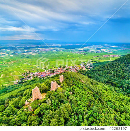 The Three Castles of Eguisheim or Husseren-les-Chateaux in the Haut-Rhin department of France 42268197