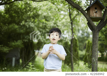 Summer, park, kids, children, picnic, walking, outing, forest, vacation, vacation 42268942