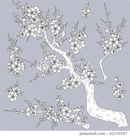Monochrome Plum Blossom Branches Monochrome Plum Blossom Branches 42270547