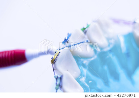 Interdental teeth brackets clean Interdental teeth brackets clean 42270971