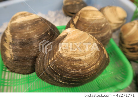蛤蜊 42271771