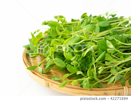 Bean seed vegetables 42271894