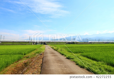 新幹線和稻田的風景 42272255