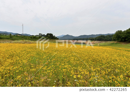 Gwangju, Chungju, Jecheon, Chungbuk Gwangju, Chungju, Jecheon, Chungbuk 42272265