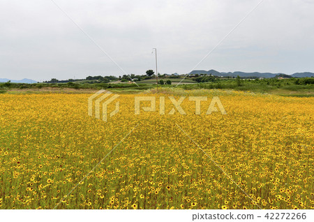 Gwangju, Chungju, Jecheon, Chungbuk Gwangju, Chungju, Jecheon, Chungbuk 42272266