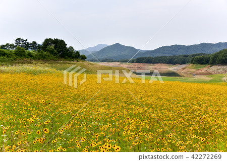 光州，忠州，Jecheon，忠北 42272269