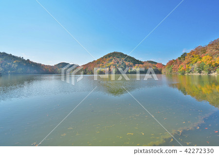 Autumn-colored Takarago Pond 42272330