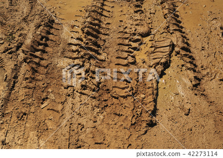 Traces of wheeled vehicles Traces of wheeled vehicles 42273114