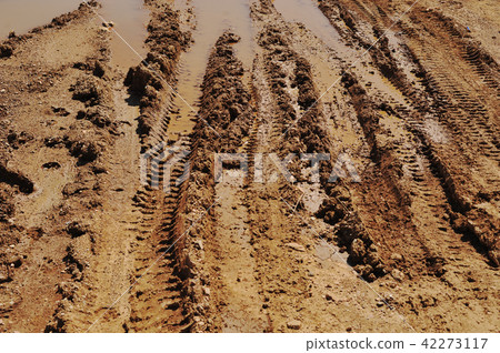 Traces of wheeled vehicles used in agriculture Traces of wheeled vehicles used in agriculture 42273117