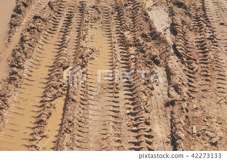 Traces of wheeled vehicles used in agriculture Traces of wheeled vehicles used in agriculture 42273133