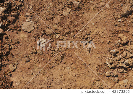Traces of wheeled vehicles used in agriculture Traces of wheeled vehicles used in agriculture 42273205
