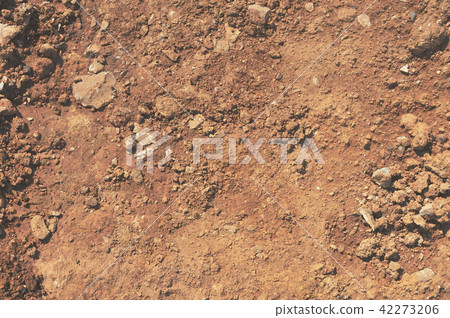 Traces of wheeled vehicles used in agriculture Traces of wheeled vehicles used in agriculture 42273206