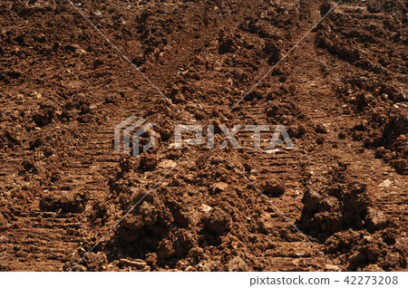 Traces of wheeled vehicles used in agriculture Traces of wheeled vehicles used in agriculture 42273208
