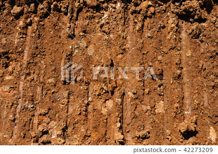 Traces of wheeled vehicles used in agriculture Traces of wheeled vehicles used in agriculture 42273209