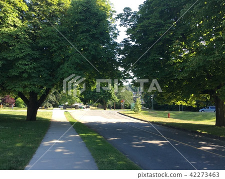 City of Vancouver City of Vancouver 42273463