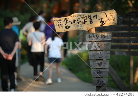 Gangwon Province, Nami Island 42274295