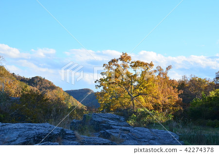 秋葉長岡·岩層 秋葉長岡·岩層 42274378