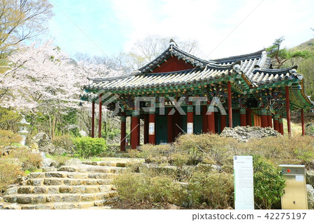 麗水興國 42275197