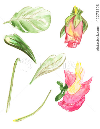 Illustration set of color drawing Illustration set of color drawing 42275308