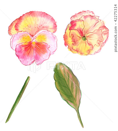 Illustration set of color drawing 42275314